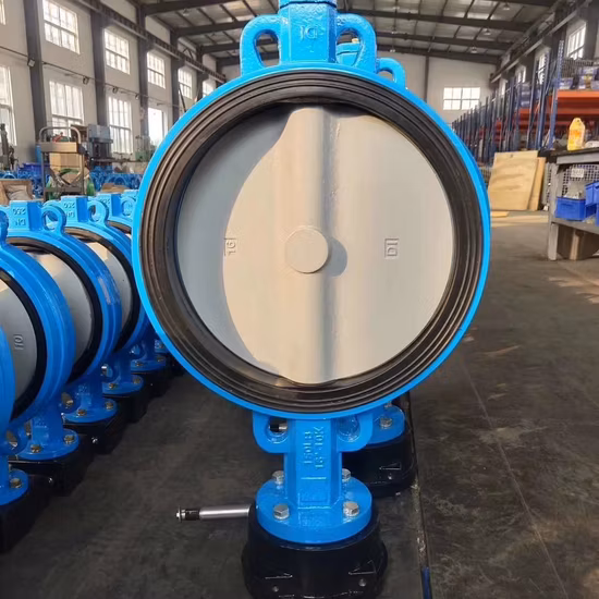 ANSI API CF8 Di Ci EPDM PTFE Strong Acid Ductile Iron Lever Opreated Wafer Lug Butterfly Valve China Suppliers
