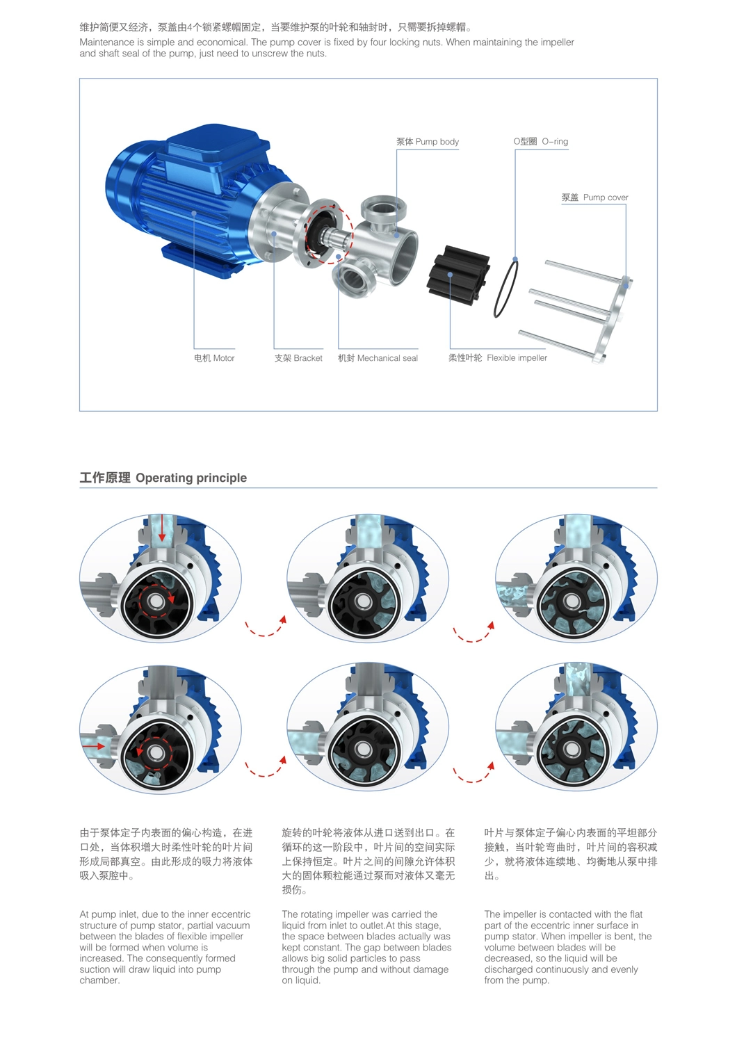 Sanitary Flexible Impeller Pump with Self-Priming Ability