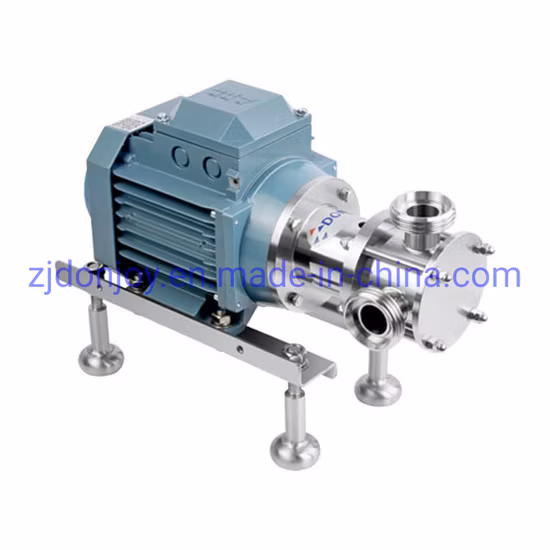 Impulsor flexible FKM Bomba de agua de acero inoxidable 316L Rosca DIN